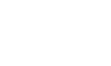 Leaf and Sunshine